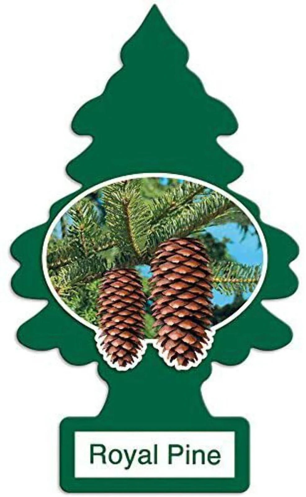 Little Trees Air Freshener - ROYAL PINE - Classic Hanging Car/Home/Office – AU Stock