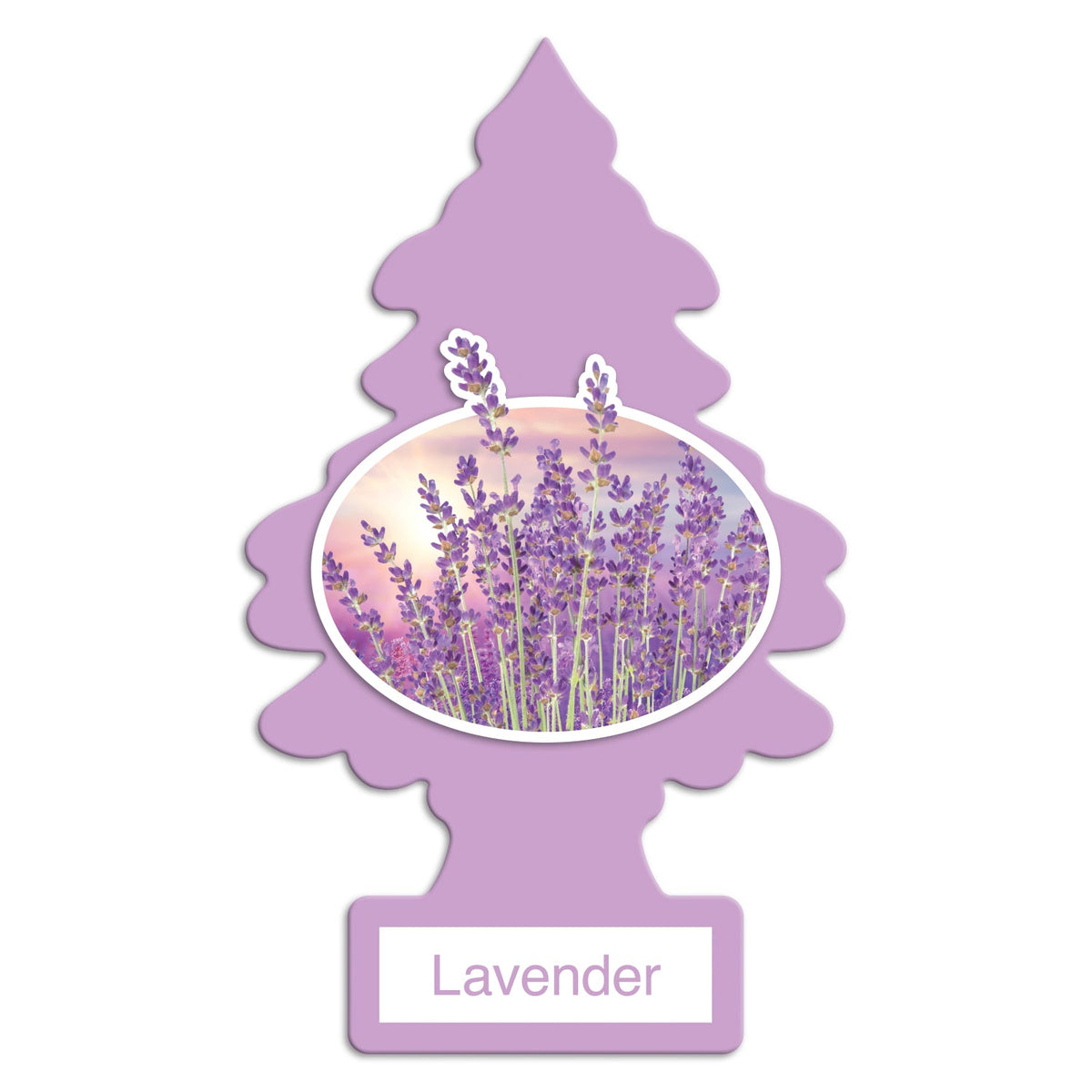 Little Trees Air Freshener - LAVENDER - Classic Hanging Car/Home/Office – AU Stock