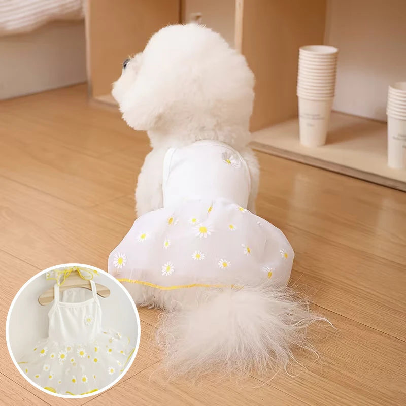 Summer Thin Puppy Princess Skirt Dog Clothes Cute Pet Dog Dress for Small Dogs Chihuahua York Clothing Pet Supplies