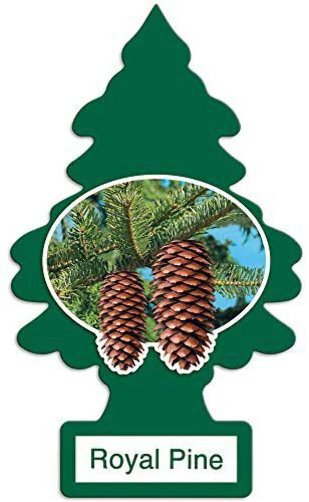 Little Trees Air Freshener - ROYAL PINE - Classic Hanging Car/Home/Office – AU Stock