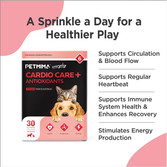 Homart Petmima Cardio Support For Heart Murmur Dog & Cat Care+ Antioxidants 2g x 30 Sachet
