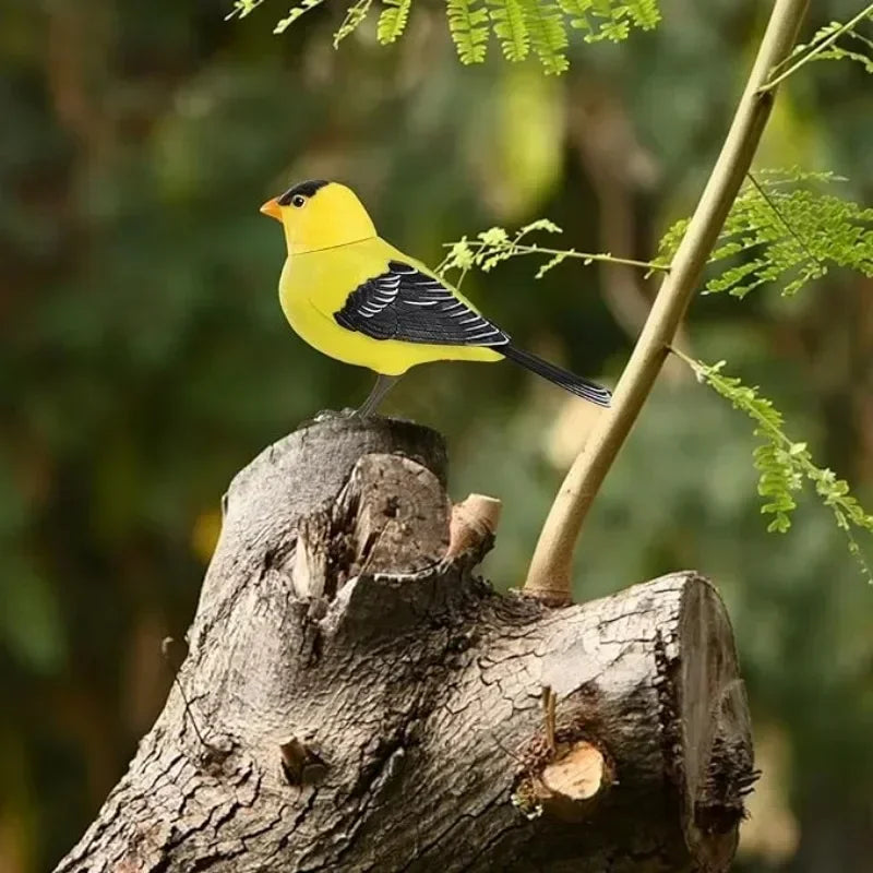 Simulation Electronic Bird Toys for Kids Electric Singing Bird Toy Cute Interactive Bird Toy with Motion & Sound Control