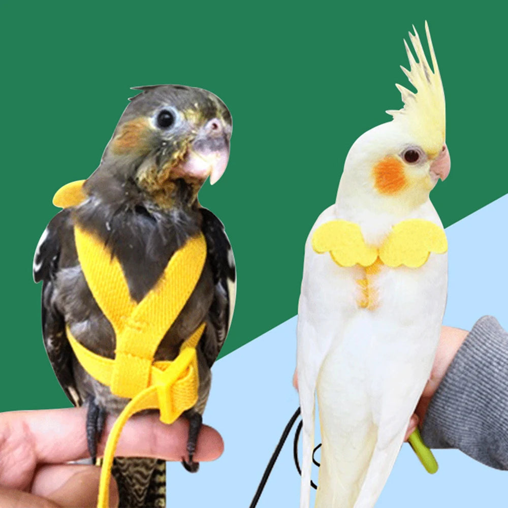 Adjustable Parrot Bird Harness Leash Set Anti-bite Training Harness Parrots Outdoor Flying Rope Cockatiel Small Birds Supplies
