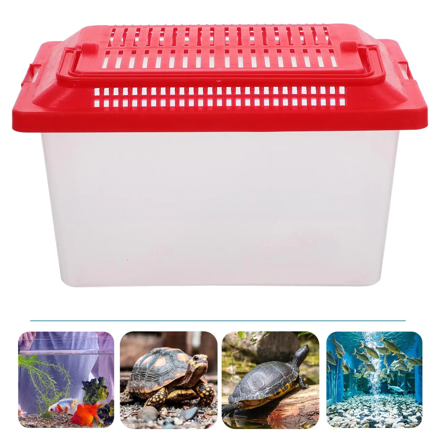 Portable Fish Tank Handheld Plastic Goldfish Tank Transparent Turtle Hamster Reptile Box Aquarium Random Color