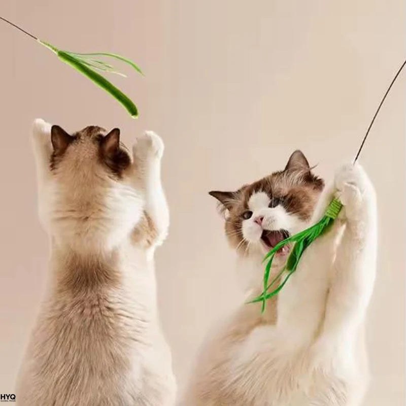Juguetes para gatos varilla flexible, plumas y hierba para mascotas