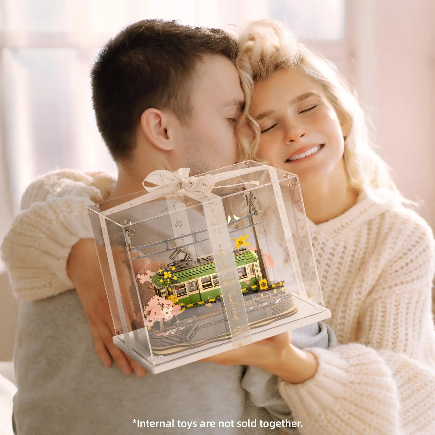 Rolife Acrylic Display Case for Miniature House Building Sets Clear Dust Cover Display Case for Collection with Reserved Wiring