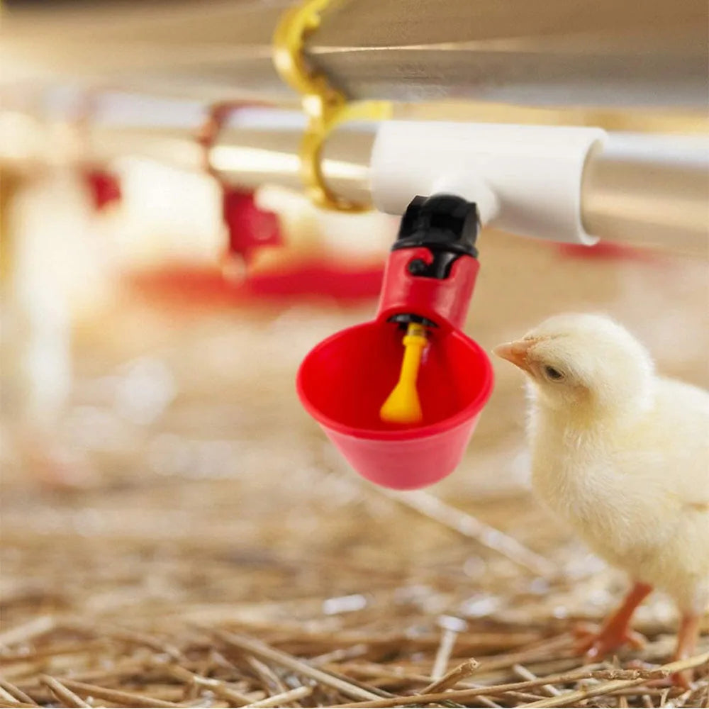 10PCS Automatic Cups Water Feeder Drinker Chicken Waterer Poultry Chook Bird AU