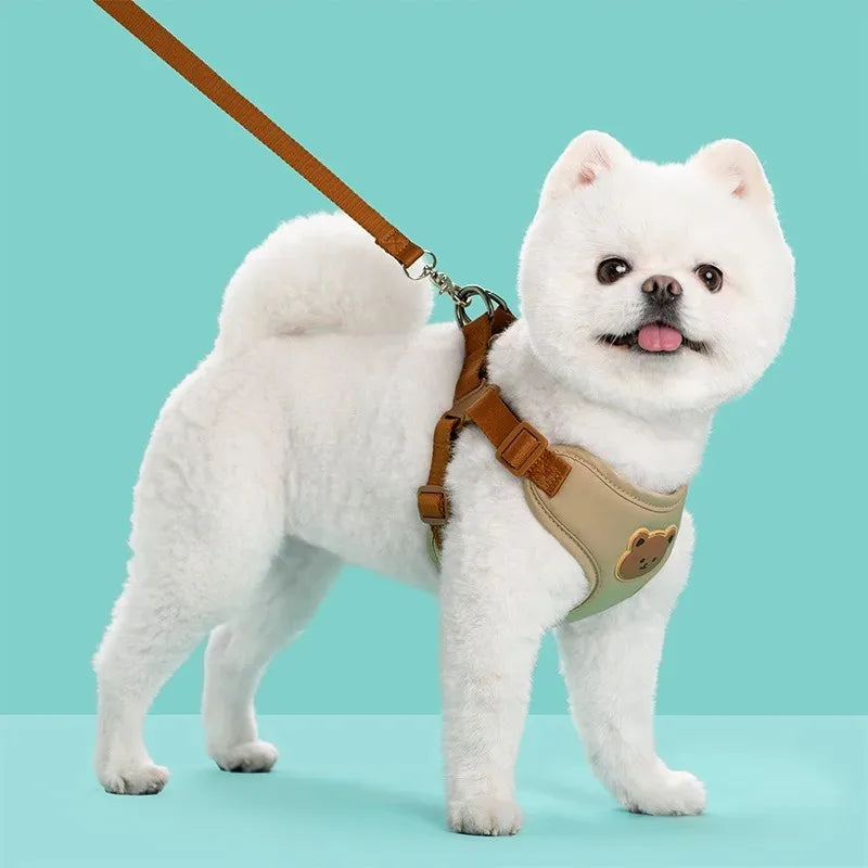 Pet Dog Harness and Leash Set for Small Medium Dogs & Cats Breathable Adjustable Puppy Vest, Reflective Chest Strap Harness