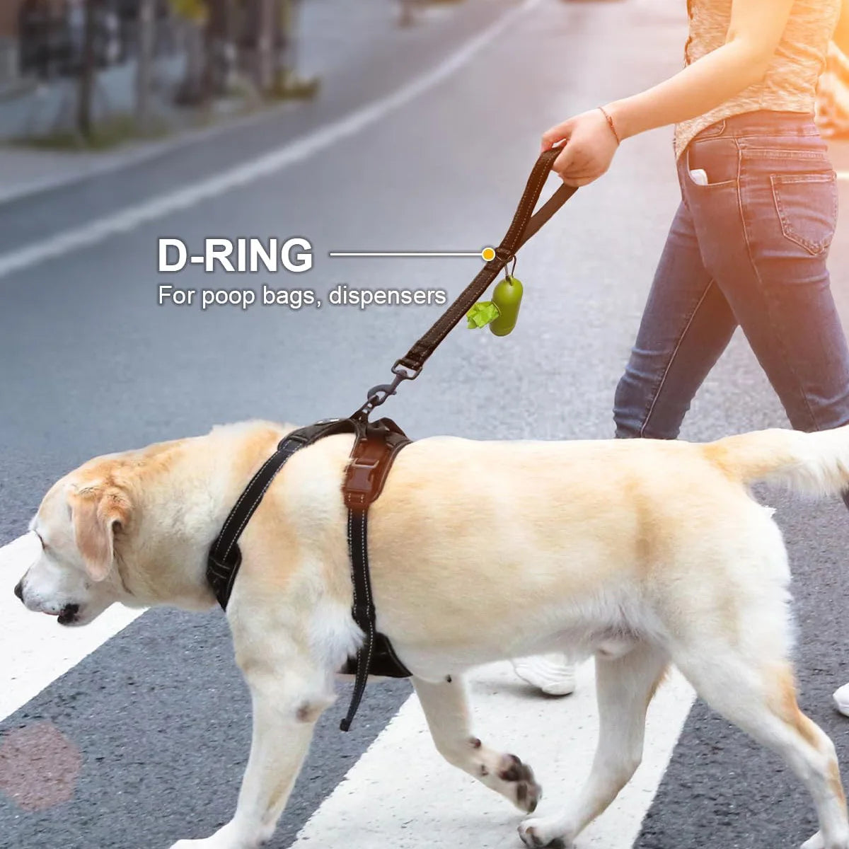 Short Dog Leash, Traffic Padded Handle, Heavy Duty Short Nylon Dog Lead For Training Control, Reflective Threads Pet Lea