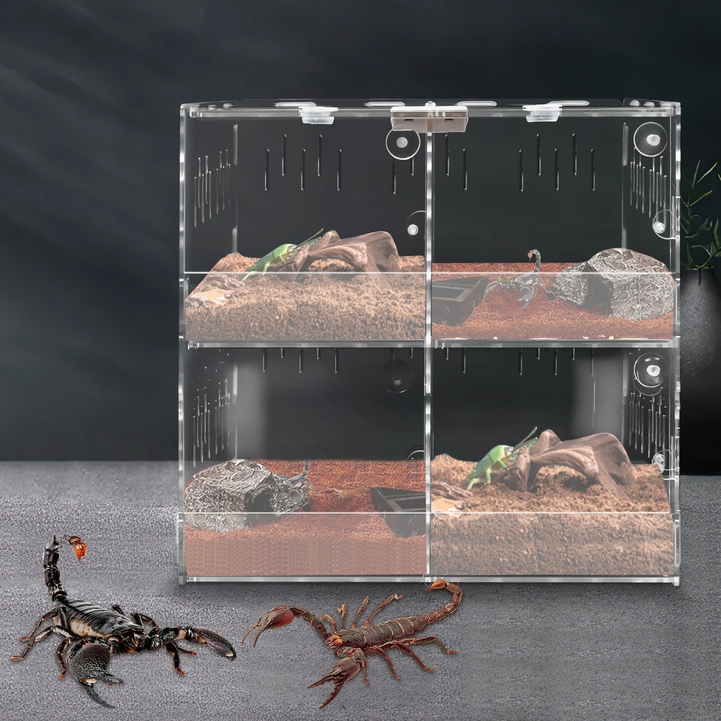 4 Grids Large Tank Cage Reptile Pet Enclosure Lizard Spider Snake Tortoise Tank