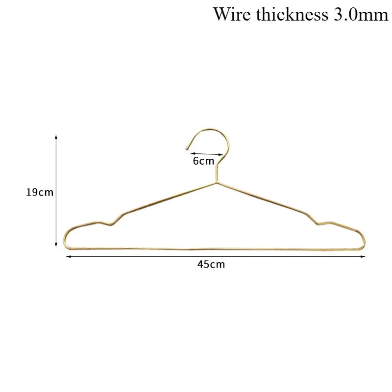 10PCS Stainless Steel Coat Hangers,Household Soild Metal Clothes Hanger for Adults Children Pet,Non-slip  Closet Organizer Rack