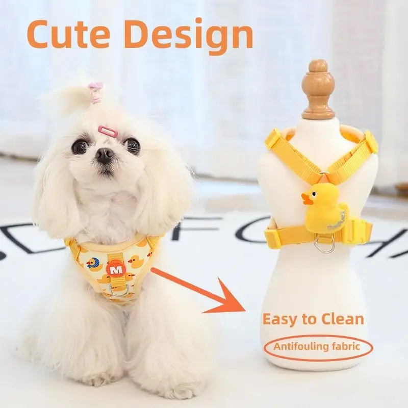 Small Dog Harness and Leash Set, Four-Point Adjustable Soft Mesh Dog Vest Harness and Quickly Release Buckle 5Ft Nylon Dog Leash