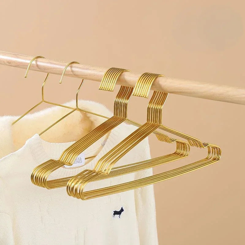 10PCS Stainless Steel Coat Hangers,Household Soild Metal Clothes Hanger for Adults Children Pet,Non-slip  Closet Organizer Rack