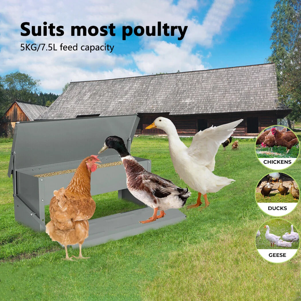 Automatic Chicken Feeder Chook Food Feeder 5kg Capacity Treadle Self Opening Pou