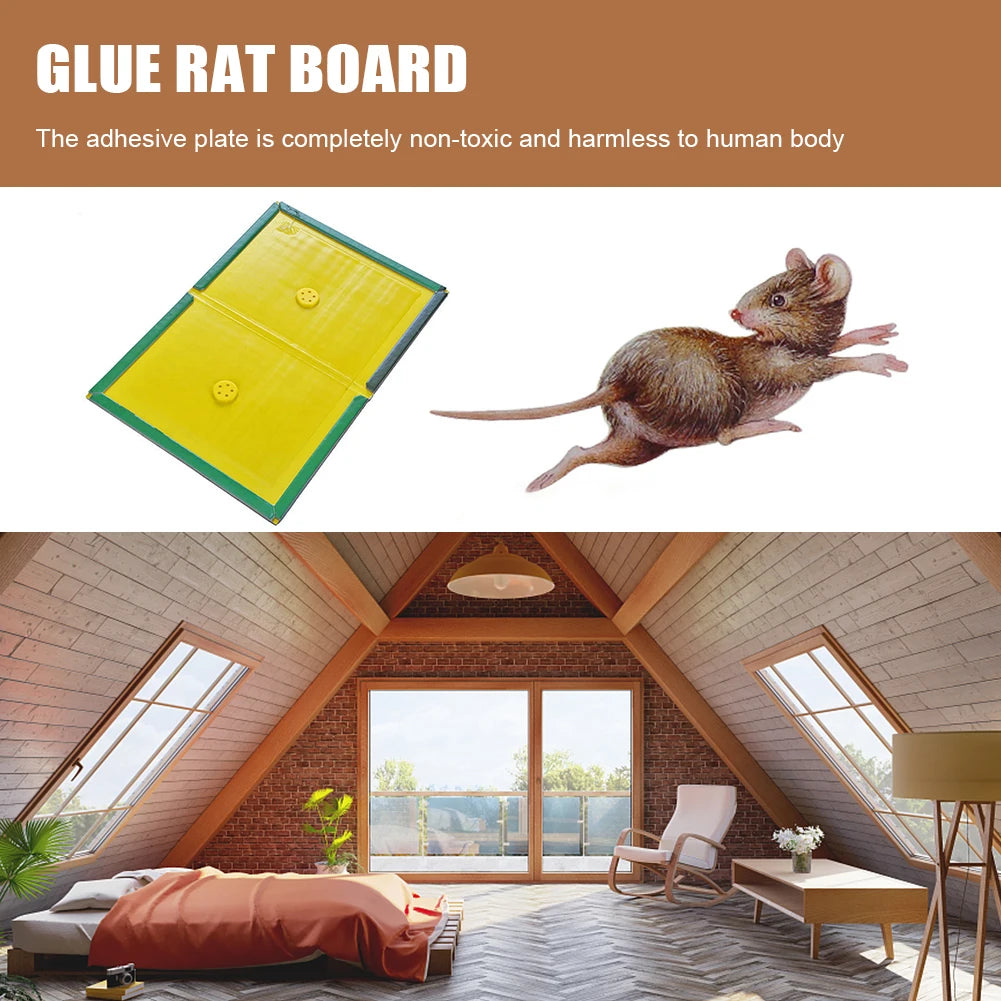 Glue Traps Non-Toxic Mouse Rat Insect Sticky Adhesive Ready To Use Indoors Outdoors Long-Lasting in Restaurant Kitchen Hotel