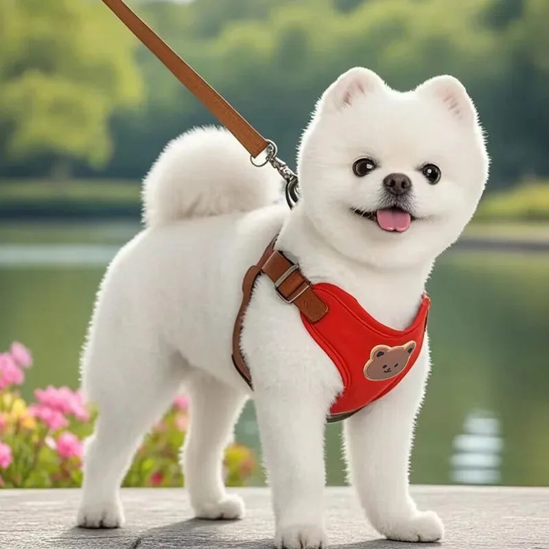Pet Dog Harness and Leash Set for Small Medium Dogs & Cats Breathable Adjustable Puppy Vest, Reflective Chest Strap Harness
