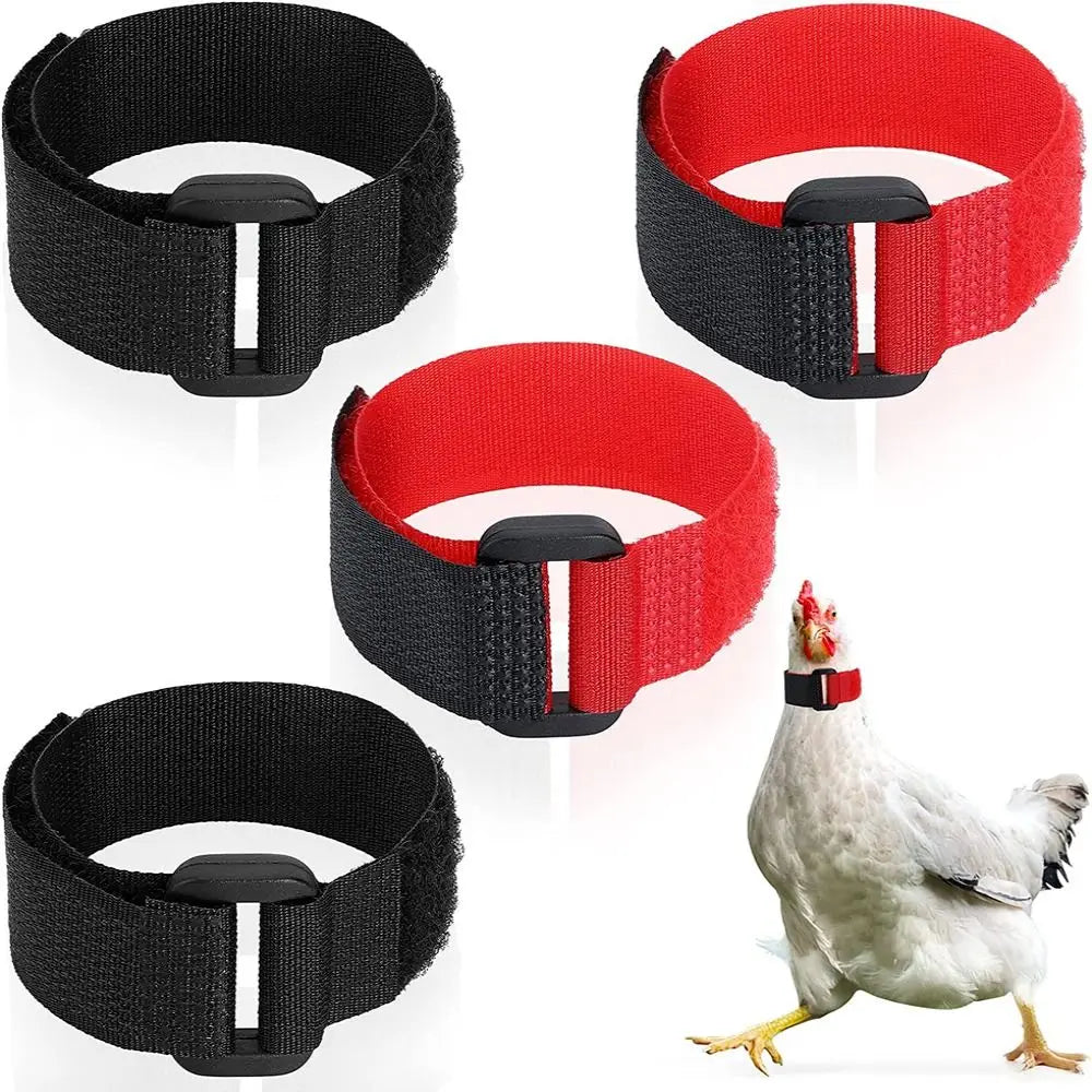 2PCS Chicken Collar Anti-Hook Noise Free Neckband Collars No Crow Rooster Collar Prevent Chickens from Crowing Supplies