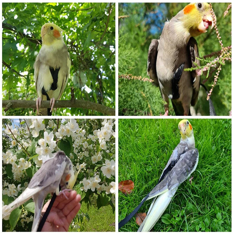 Training Flying Traction Rope Anti-Bite Training Rope Bird Leash Parrot Flying Rope Parrot Harness Bird Harness Leash 2030