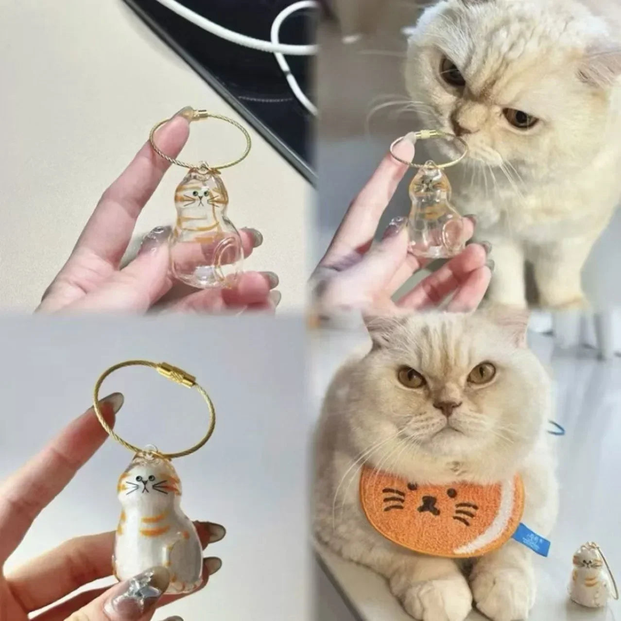 Pet Hair Memorial Keepsake Box & Bottle - Transparent Storage Container for Cat Fur, DIY Decor Gift for Pet Lovers Home Display