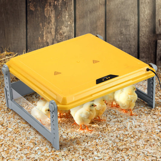 Pet Scene Adjustable Chick Brooder Heating Plate Chicken Chook Heater Coop Poultry Duck Quail Brooding Warmer for 40 to 50 Chick
