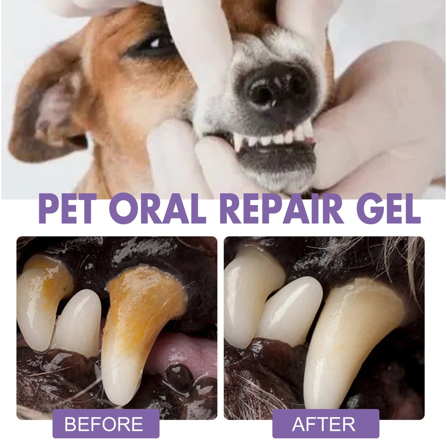 Pet Oral Repair Gel Puppy Tartar Removal Odor Eliminator Whiten Cats Dogs Teeth Stain Remover Gum Care Pet Teeth Cleaning Gel