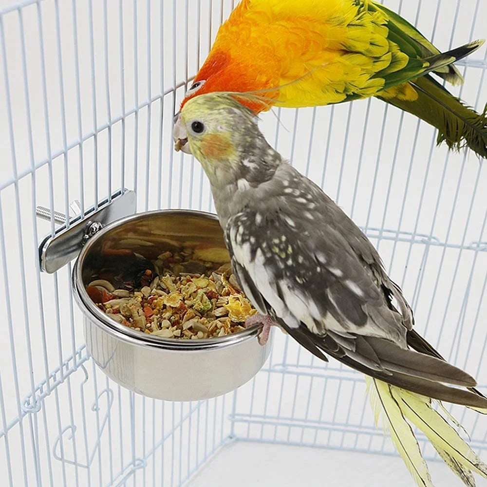 Pet Bowl Bird Feeding Dish Cup Parrot Food Water Bowl with Clamp Stainless Steel