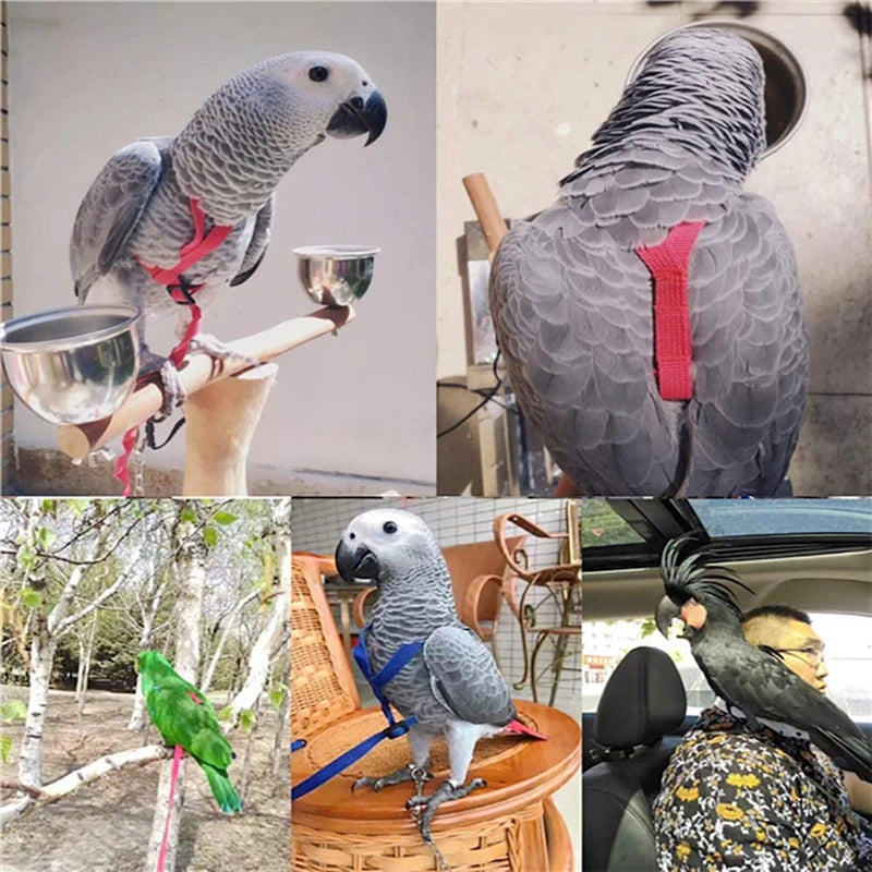 Training Flying Traction Rope Anti-Bite Training Rope Bird Leash Parrot Flying Rope Parrot Harness Bird Harness Leash 2030