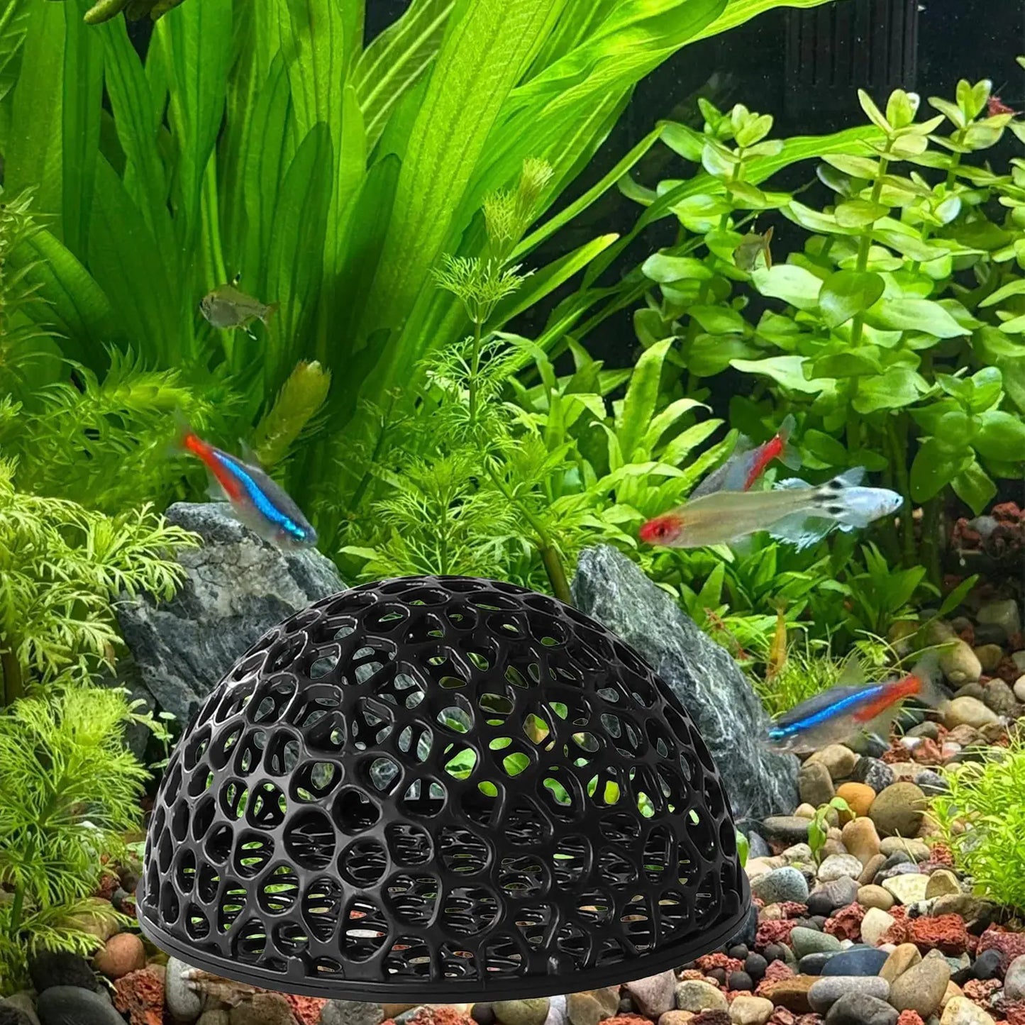 Plastic Hollow Small Fish Shrimp Hiding Shelter Aquarium Decoration Betta Resting Place Cave Hiding Tools Supplies For Tank