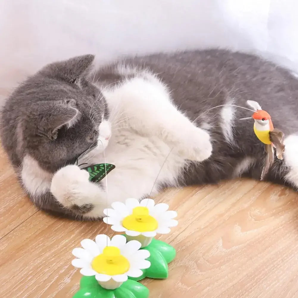 Electric Butterfly Cat Toy Shake Rotating Flying Automatic Humming Bird Intelligence Training Funny Pet Toys Random Color
