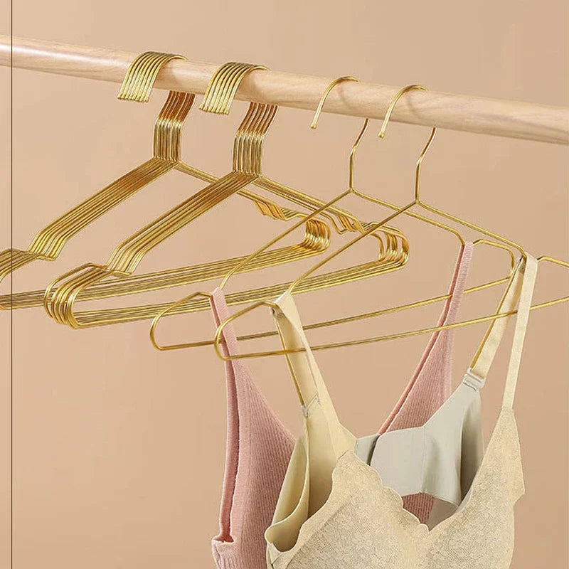 10PCS Stainless Steel Coat Hangers,Household Soild Metal Clothes Hanger for Adults Children Pet,Non-slip  Closet Organizer Rack
