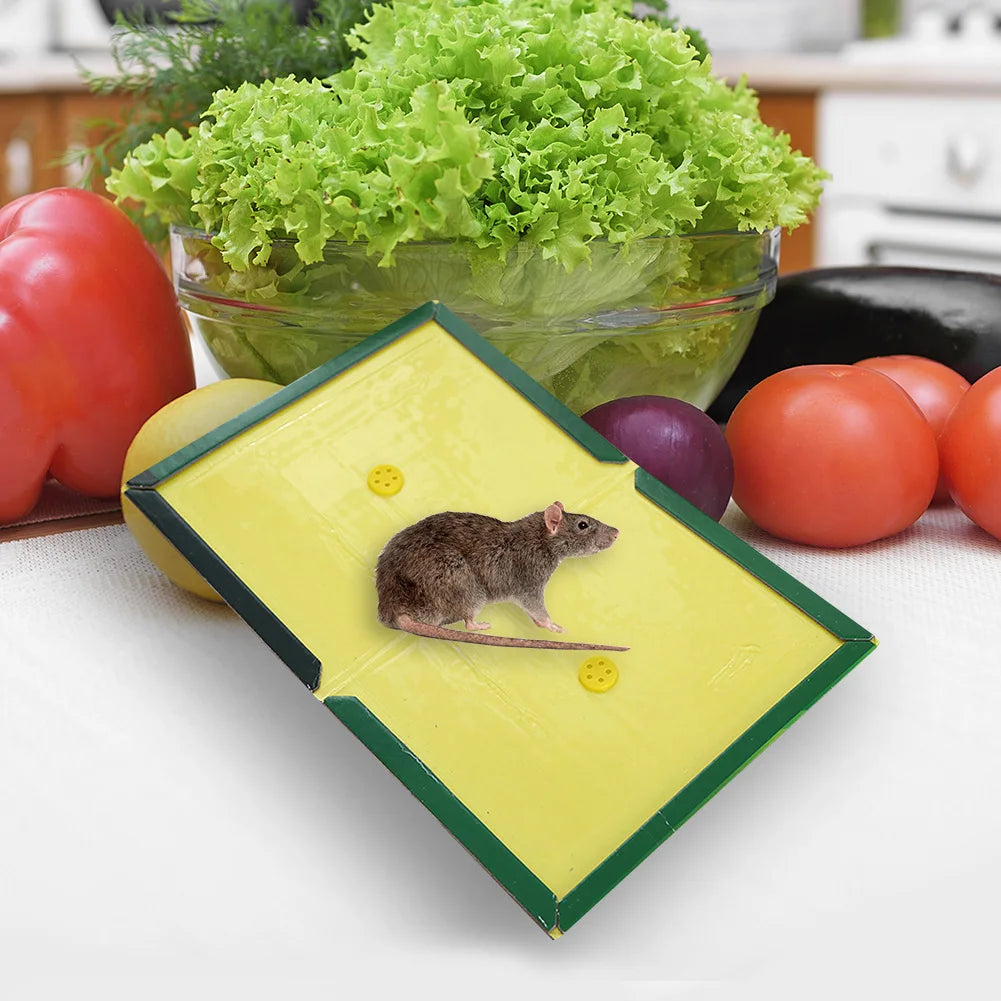 Glue Traps Non-Toxic Mouse Rat Insect Sticky Adhesive Ready To Use Indoors Outdoors Long-Lasting in Restaurant Kitchen Hotel