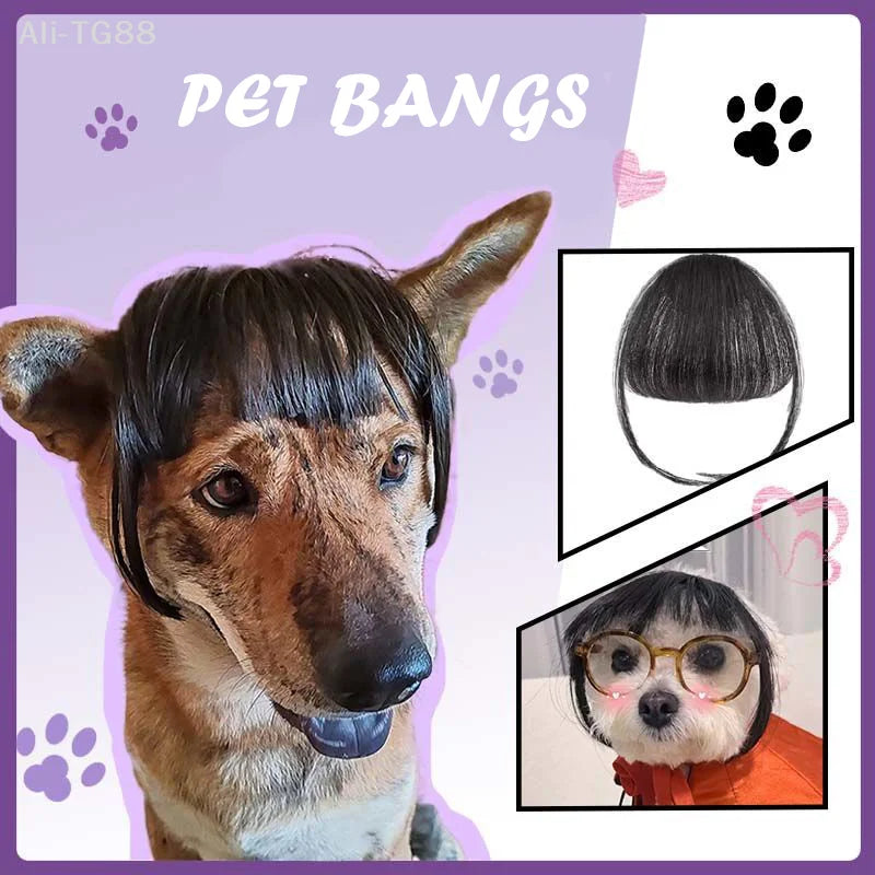 Funny Cat Wig Trimmable Pet Wig Cat Wig Supplies Pet Accessories Creative Pet Decor Wig Thin Light Smooth Cat Wig Pet Supplies