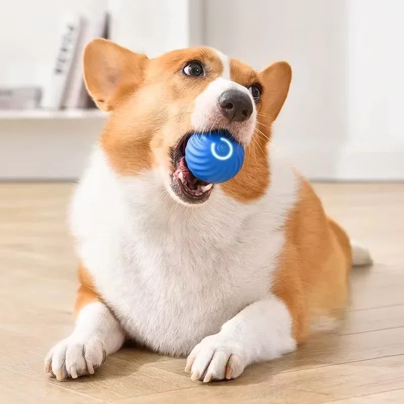 1PCS  Dog Toys Intelligent Gravity Jump Ball Rechargeable Bite-Resistant Rolling Ball Cat And Dog Chase Interactive Pet Toys
