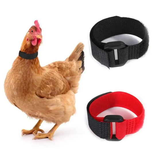 2PCS Chicken Collar Anti-Hook Noise Free Neckband Collars No Crow Rooster Collar Prevent Chickens from Crowing Supplies