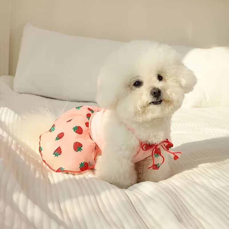 Summer Thin Puppy Princess Skirt Dog Clothes Cute Pet Dog Dress for Small Dogs Chihuahua York Clothing Pet Supplies
