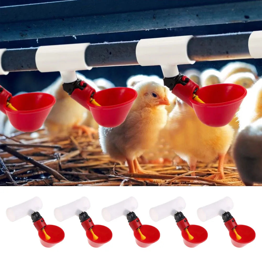 10PCS Automatic Cups Water Feeder Drinker Chicken Waterer Poultry Chook Bird AU