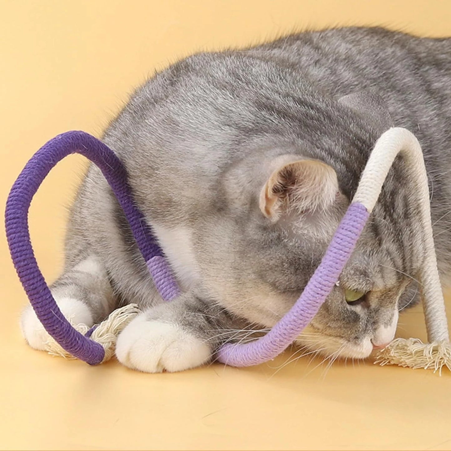 Premium Engaging Cat Toys: High-Quality, Natural Catnip and Silvervine Toys for Active and Health-Conscious Pets - Stimulating P