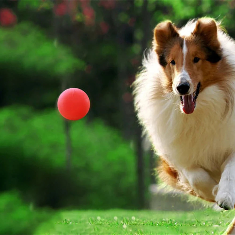 Solid Training Toy Rubber Ball Pet Puppy Dog Chew Play Fetch Bite Bouncy TPRBall