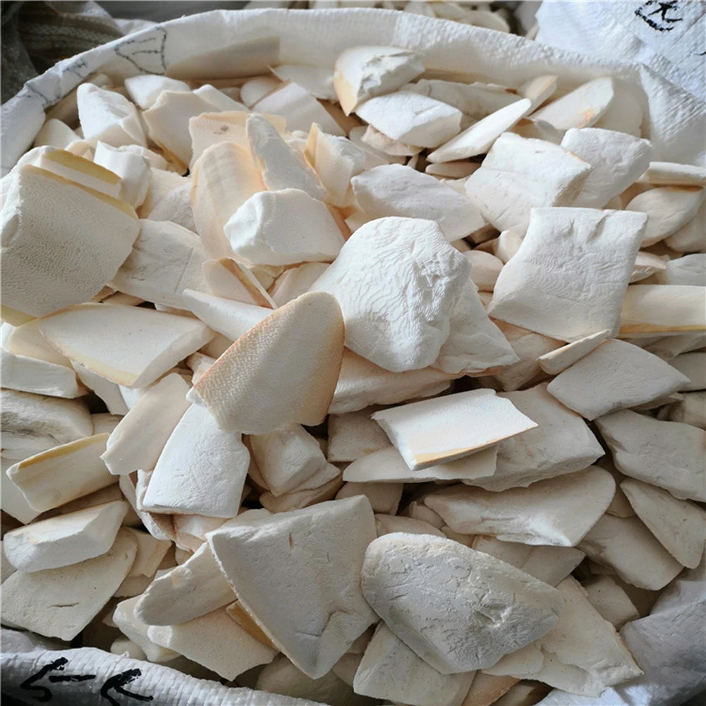 10pcs Pet Bird Food Demineralized Chewing Cuttlefish Bone Edible Crawling Pet Molar Toy Nutritional Supplements Sports Equipment