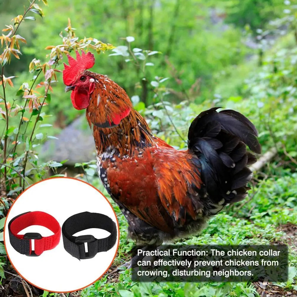 2PCS Chicken Collar Anti-Hook Noise Free Neckband Collars No Crow Rooster Collar Prevent Chickens from Crowing Supplies