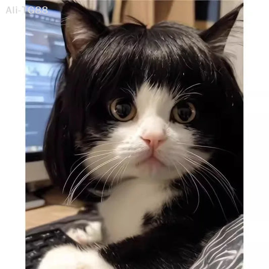 Funny Cat Wig Trimmable Pet Wig Cat Wig Supplies Pet Accessories Creative Pet Decor Wig Thin Light Smooth Cat Wig Pet Supplies