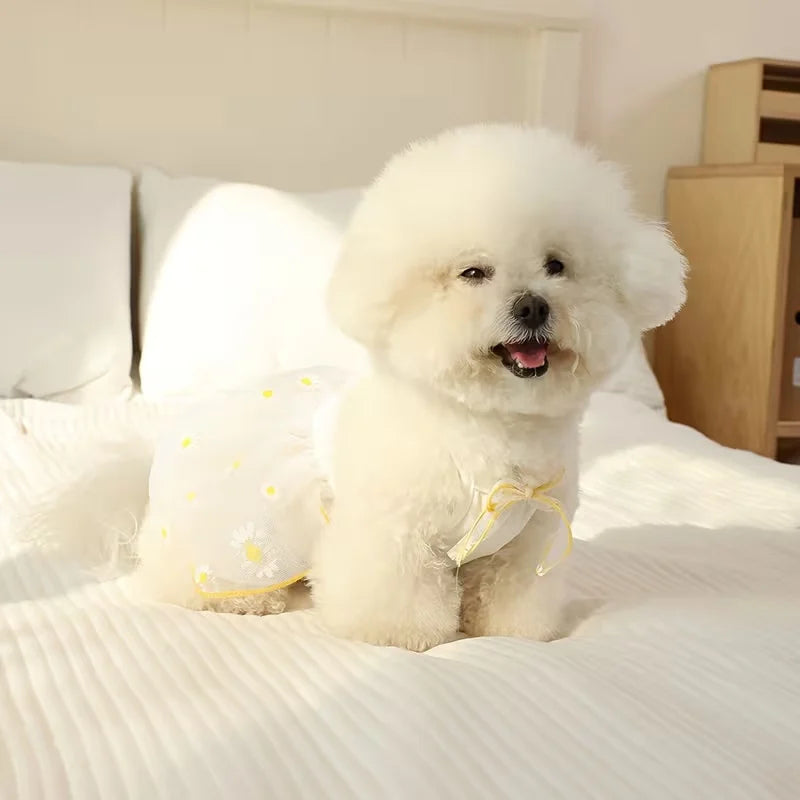 Summer Thin Puppy Princess Skirt Dog Clothes Cute Pet Dog Dress for Small Dogs Chihuahua York Clothing Pet Supplies