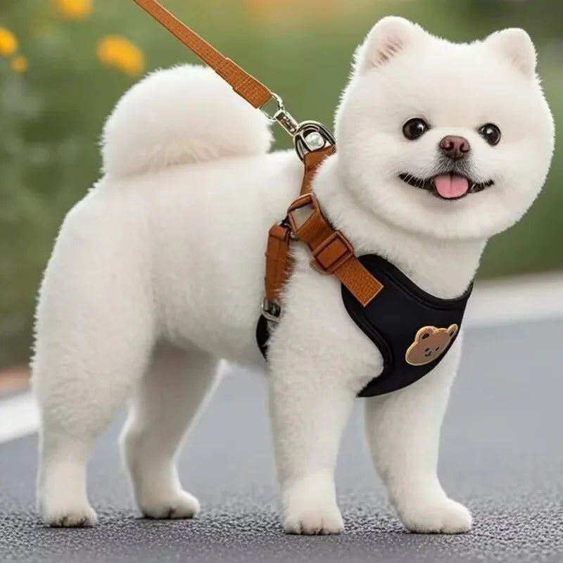 Pet Dog Harness and Leash Set for Small Medium Dogs & Cats Breathable Adjustable Puppy Vest, Reflective Chest Strap Harness