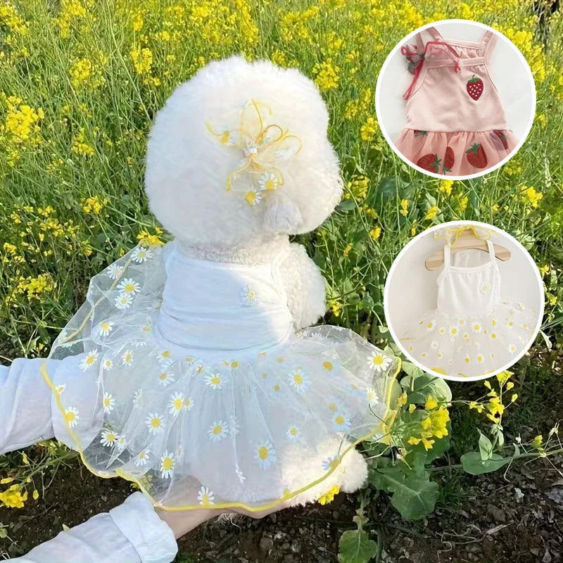 Summer Thin Puppy Princess Skirt Dog Clothes Cute Pet Dog Dress for Small Dogs Chihuahua York Clothing Pet Supplies