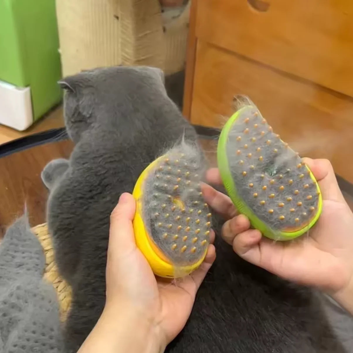 Cat Dog Steamy Brush Steam Brush Electric Sprayer for Massage Pet Grooming tool Shedding 3 in 1 Electric Sprays Massage Combs