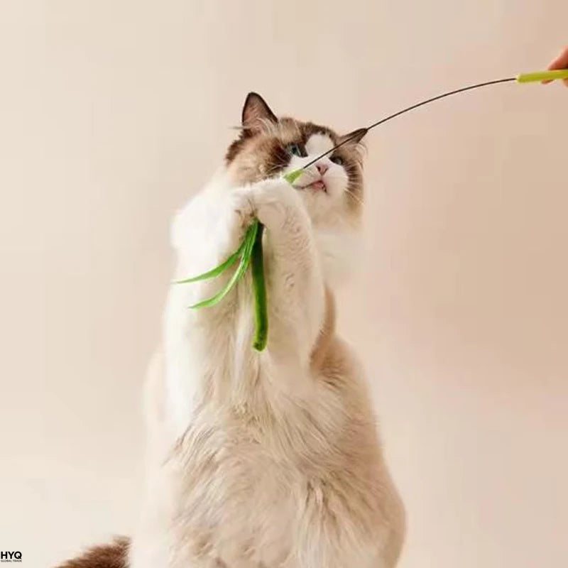 Juguetes para gatos varilla flexible, plumas y hierba para mascotas