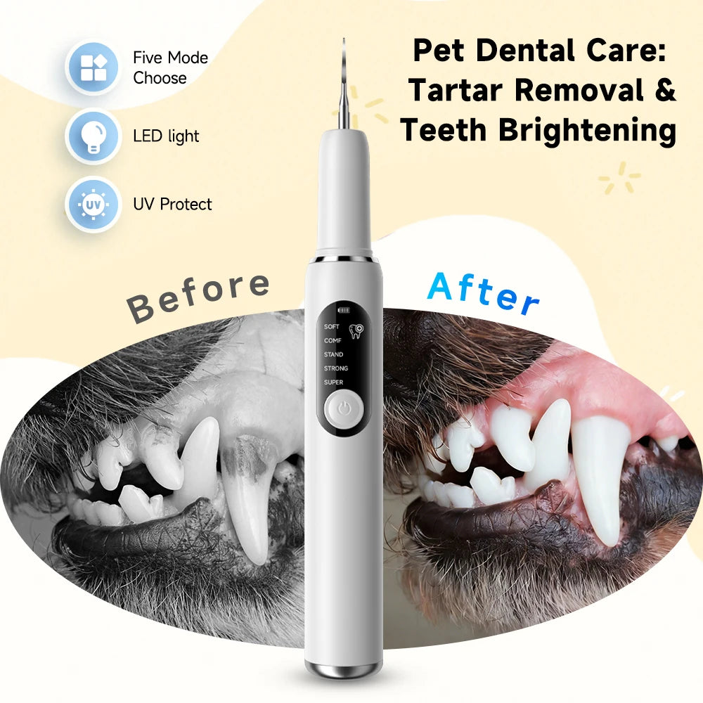 Dog Cat Ultrasonic Dental Scaler 5 Cleaning Modes Calculus Dental Plaque Cleaner Tartar Calculus Remover Pet Teeth Cleaning Kit