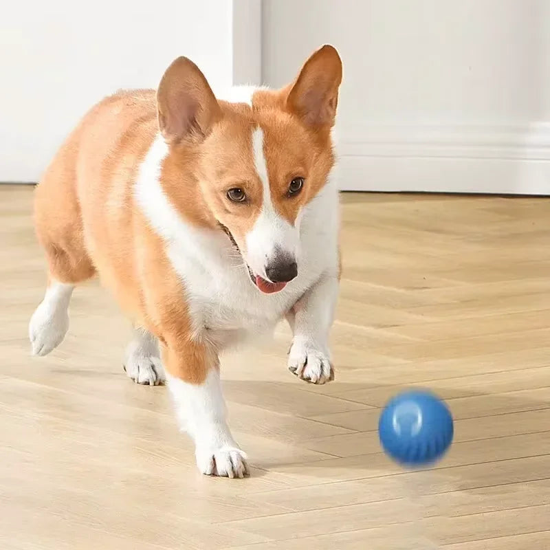 1PCS  Dog Toys Intelligent Gravity Jump Ball Rechargeable Bite-Resistant Rolling Ball Cat And Dog Chase Interactive Pet Toys