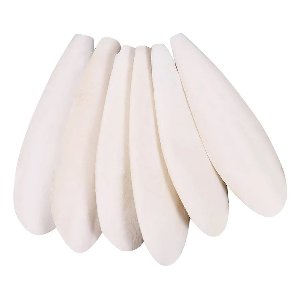 10pcs Pet Bird Food Demineralized Chewing Cuttlefish Bone Edible Crawling Pet Molar Toy Nutritional Supplements Sports Equipment
