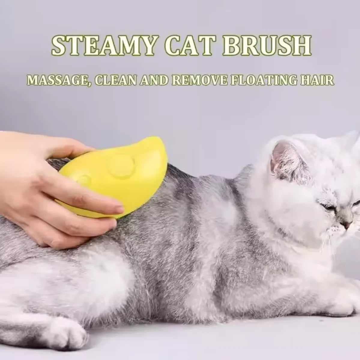 Cat Dog Steamy Brush Steam Brush Electric Sprayer for Massage Pet Grooming tool Shedding 3 in 1 Electric Sprays Massage Combs